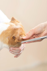 Similar image 6138814