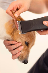 Similar image 6138816