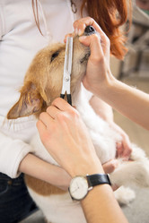 Similar image 6138817