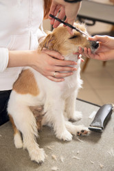 Similar image 6138818