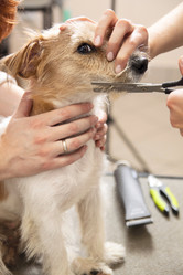 Similar image 6138819