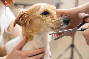 Similar image 6138821