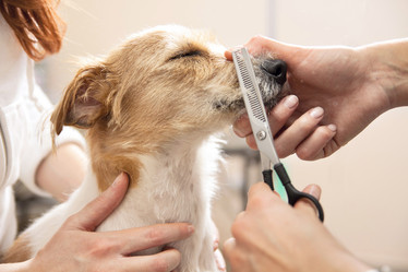 Similar image 6138822