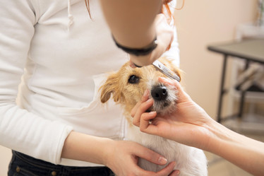 Similar image 6138824