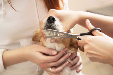 Similar image 6138826