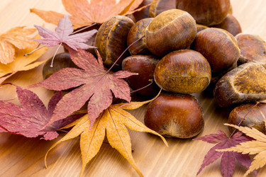 Similar image 6138837