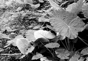 Similar image 6139260