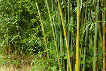 Similar image 6139267