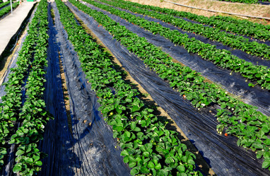 Similar image 6139321