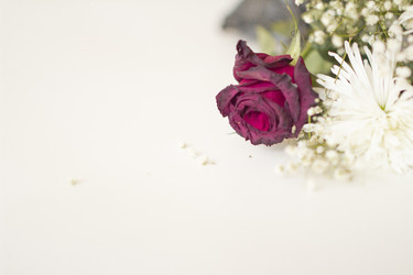 Similar image 6139355