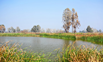 Similar image 6139379