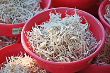 Similar image 6139384