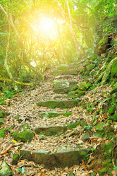 Similar image 6139392