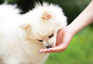 Similar image 6139409