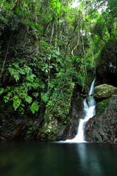 Similar image 6139418