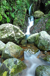 Similar image 6139420