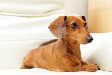 Similar image 6139436