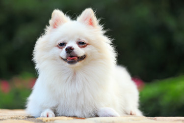 Similar image 6139459