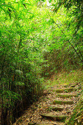 Similar image 6139506