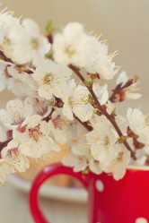 Similar image 6139554