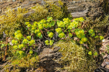 Similar image 6139562