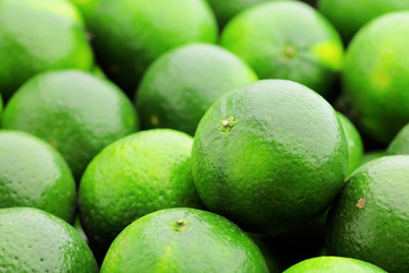 Similar image 6139669