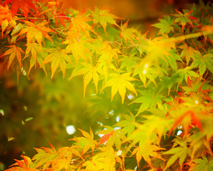 Similar image 6139705