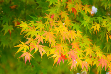 Similar image 6139706