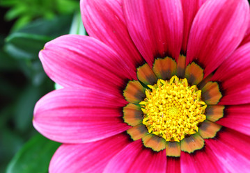 Similar image 6139771