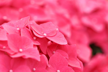 Similar image 6139784