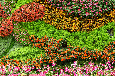 Similar image 6139785