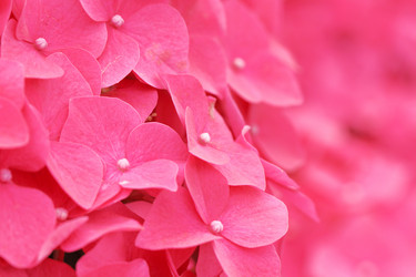 Similar image 6139786