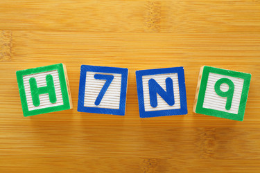 Similar image 6139830