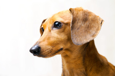 Similar image 6139846