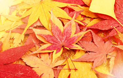 Similar image 6139888