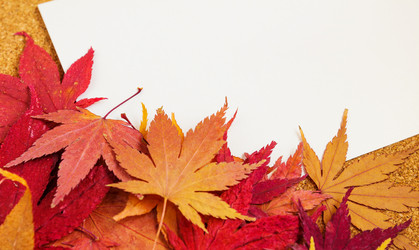 Similar image 6139899