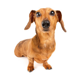 Similar image 6139964