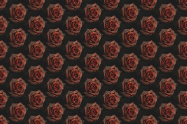 Similar image 6139983