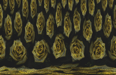 Similar image 6139988