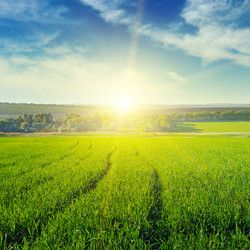 Similar image 6140076