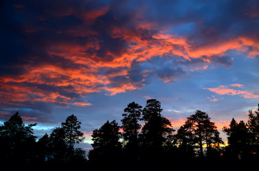 Similar image 6140323