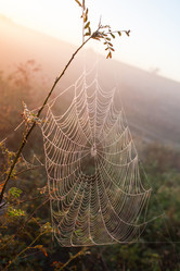 Similar image 6140633