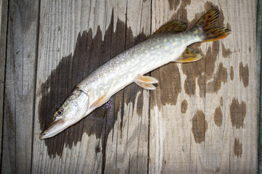 Similar image 6140634