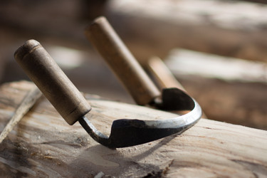 Similar image 6140689