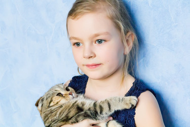 Similar image 6140788