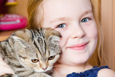 Similar image 6140790