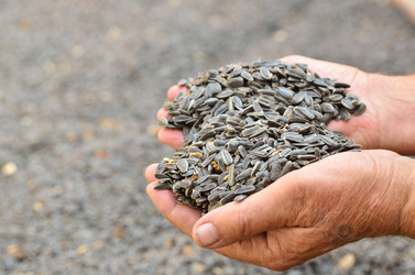 Similar image 6140806