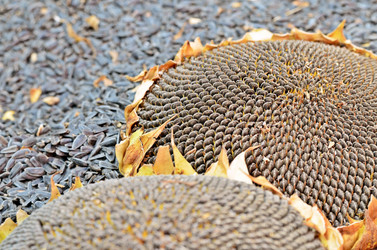 Similar image 6140809