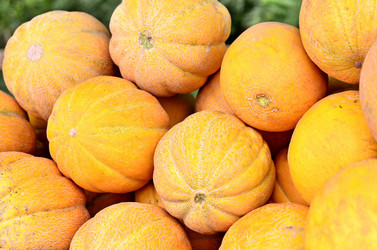 Similar image 6140811