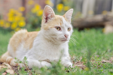 Similar image 6140819